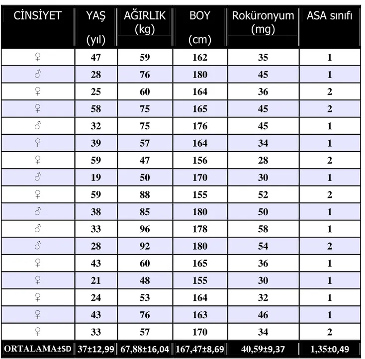 Tablo 3.  Demografik Veriler.  SD: Standart Deviasyon 