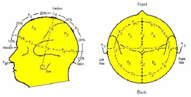 Şekil 1. Uluslararası 10–20 EEG elektrot yerleştirme sistemi. 