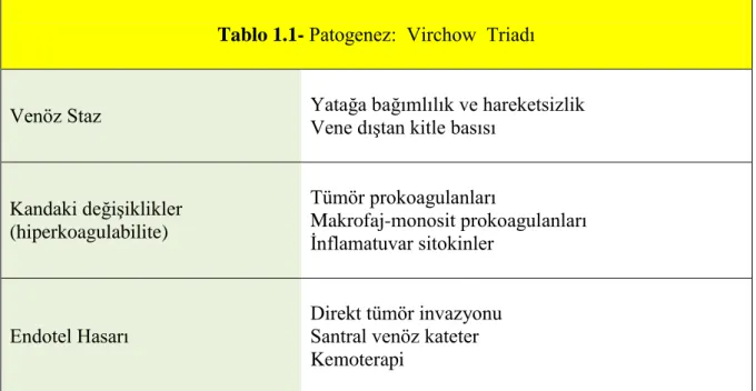 Tablo 1.1- Patogenez:  Virchow  Triadı    