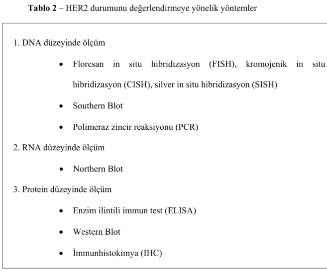 Tablo 2 – HER2 durumunu değerlendirmeye yönelik yöntemler 