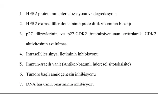 Tablo 3- Trastuzumab’ ın moleküler ve hücresel etki mekanizmaları 