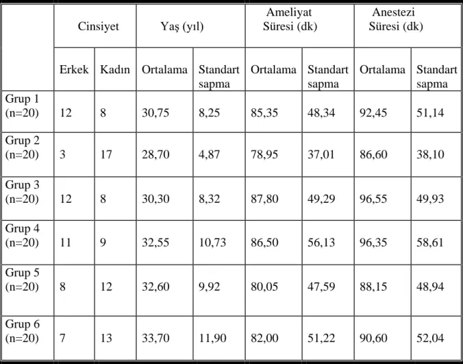 Tablo 6-1 Demografik özellikler 