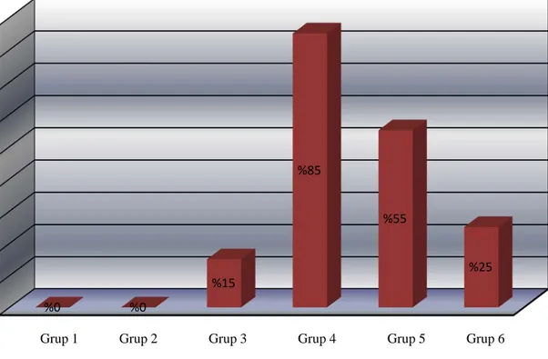 Grafik 6-1  Gruplararası 0-24 saatlik POBK oranları 