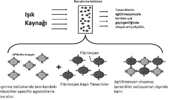 Şekil  5:  VerifyNow  sistemi  (  Karon  B.  ve  ark.  Laboratory  Methods  for  Evaluating 