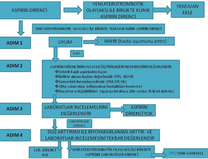 Şekil 10: Aspirin direncine yaklaşım 