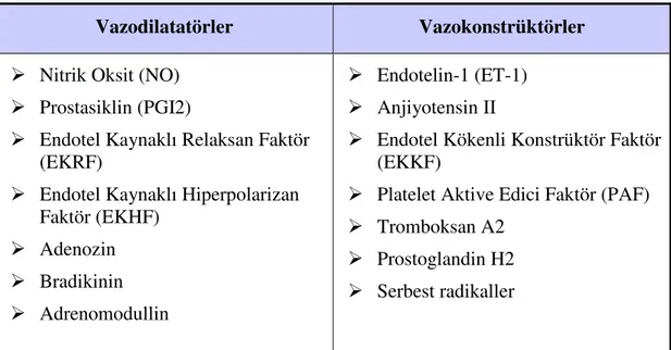 Tablo 2. Endotelden salınan vazoaktif maddeler 
