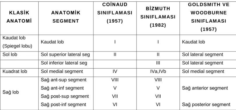 Tablo 1- Karaciğerin segmenter ve anatomik sınıflaması 