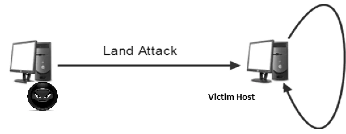Figure 5 Land Attack (Local Area Network Denial) 