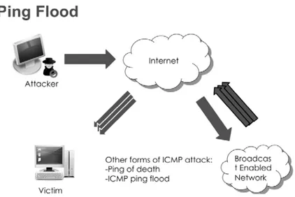Figure 2Ping Flood Attack