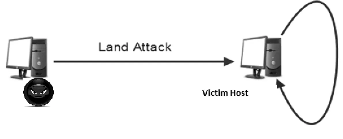 Figure 5 Land Attack (Local Area Network Denial) 