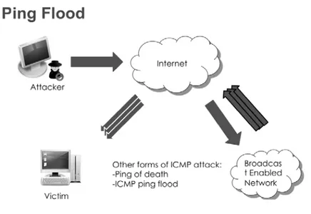 Figure 1Ping Flood Attack 