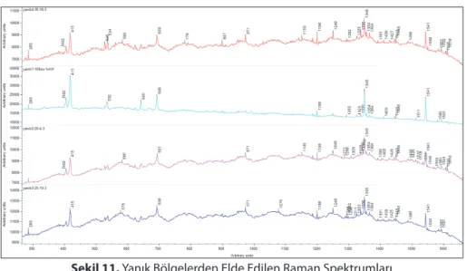 Şekil 11. Yanık Bölgelerden Elde Edilen Raman Spektrumları 4.3. Mikroskopik İnceleme Yöntemiyle Elde Edilen Bulgular