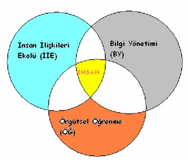 Şekil 2: Küme Modeli 