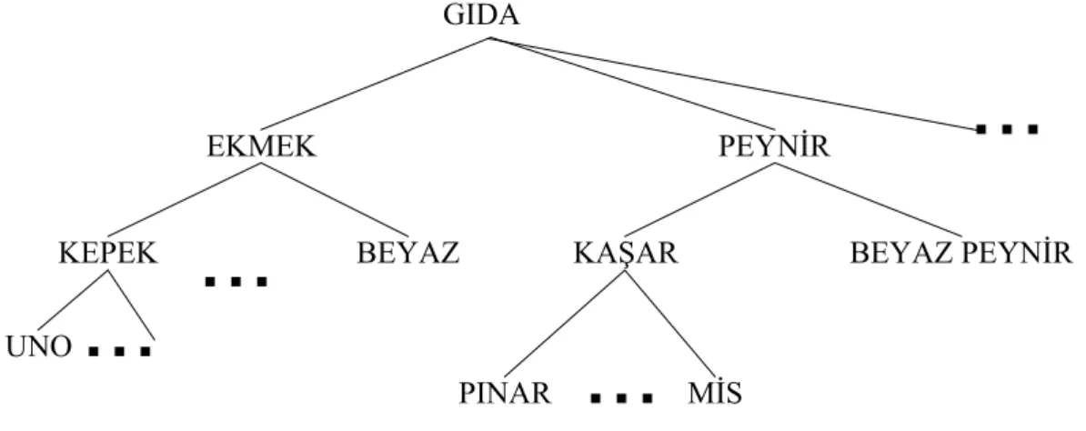 Şekil 7: Örnek Bir Taksonomi 