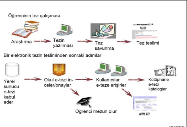 Şekil 2. Bir elektronik tezin yaşam döngüsü 