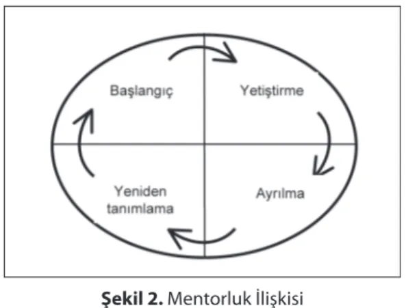 Şekil 2. Mentorluk İlişkisi