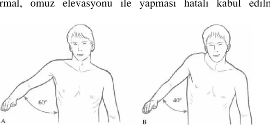Şekil 2.12. Kol abdüksiyon koordinasyon testi. A. Normal, B. Hatalı (5). 
