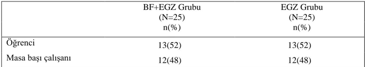 Tablo 4.3. Bireylerin mesleki dağılımı.  BF+EGZ Grubu  (N=25)  EGZ Grubu (N=25)  n(%)  n(%)  Öğrenci  13(52)  13(52) 