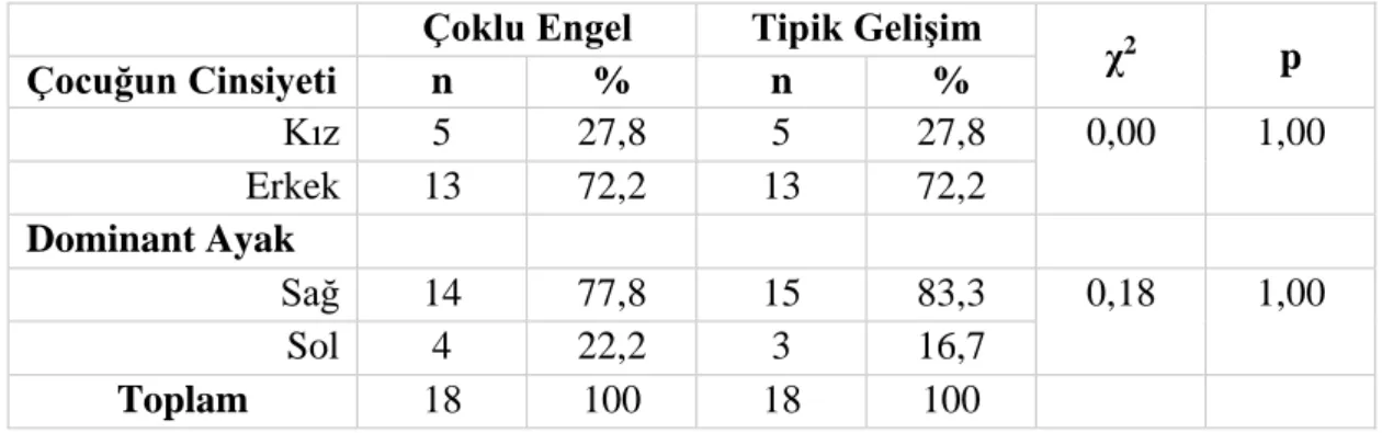 Tablo 4.2. Tipik gelişim ve çoklu engel grubundaki çocukların demografik bilgilerinin 