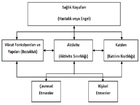 Şekil 2.1. ICF çerçevesi 