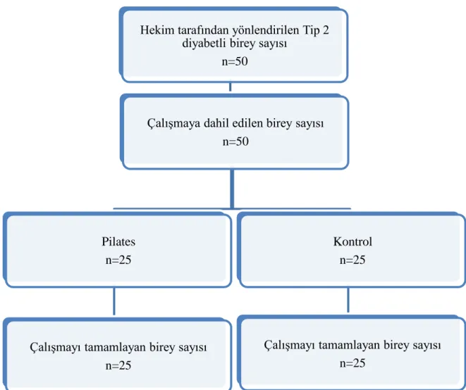 Şekil 3.1. Çalışmanın akış şeması 