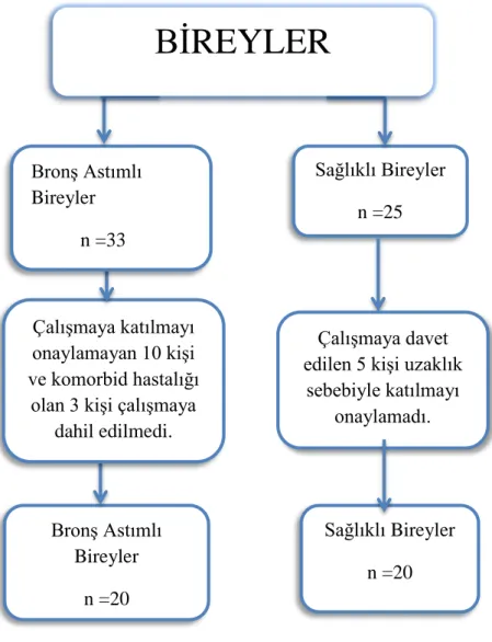 Şekil 3.1. Çalışma Şeması. 