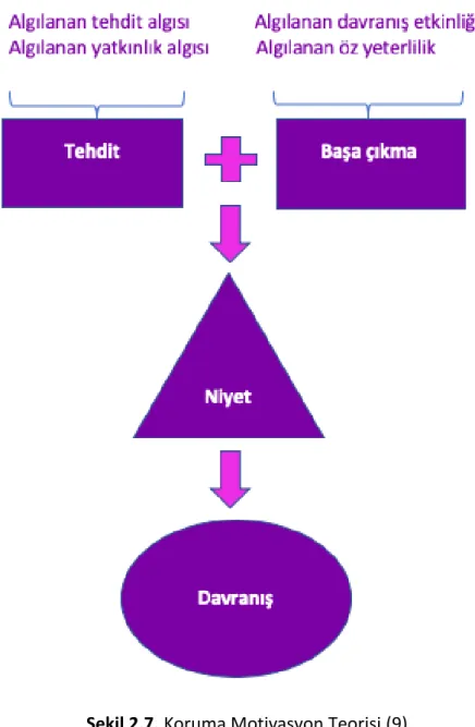 Şekil 2.7. Koruma Motivasyon Teorisi (9). 