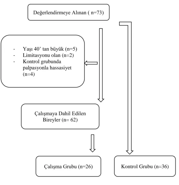Şekil 3.1. Çalışma akış diyagramı  3.2. Yöntem 