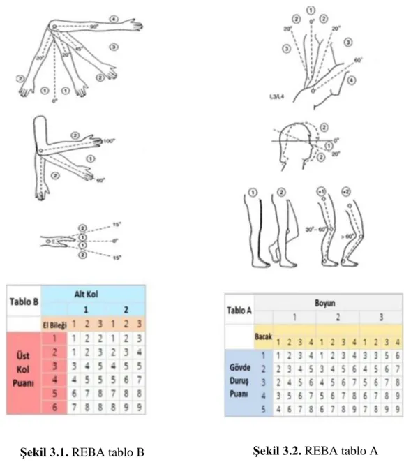 Şekil 3.2. REBA tablo A