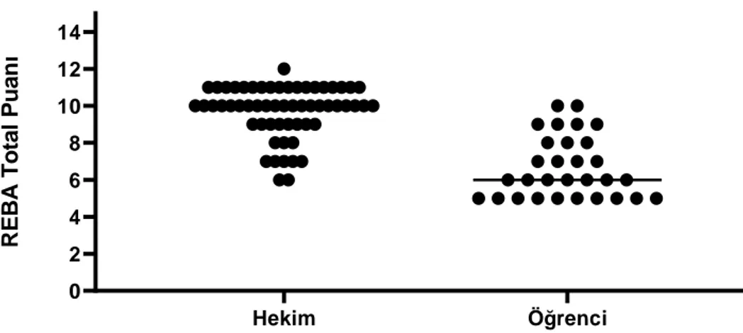 Şekil 4. 1. Diş hekimleri ve öğrencilerin REBA total puanlarının dağılım grafiği 