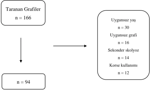 Şekil 4.1. Olgu akış şeması. 