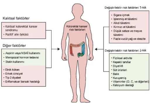 Şekil 2.5. Kolorektal kanser için değiştirilebilir ve değiştirilemez risk faktörleri (24)