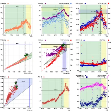 Şekil 3.3. Kardiyopulmoner Egzersiz Testi 9 Panel Sonuç Grafikleri. 