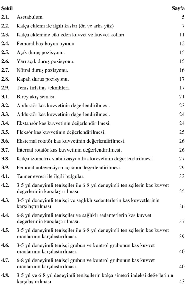 Şekil   Sayfa 