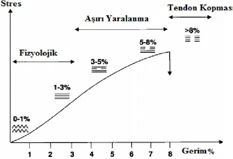 Şekil 2.4. Stres-gerim eğrisi (10). 