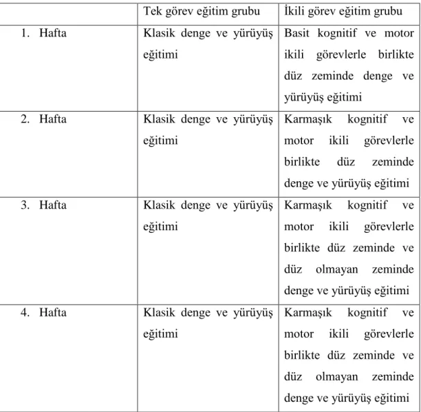 Tablo 3.1. Gruplara uygulanan tedavi protokolleri 
