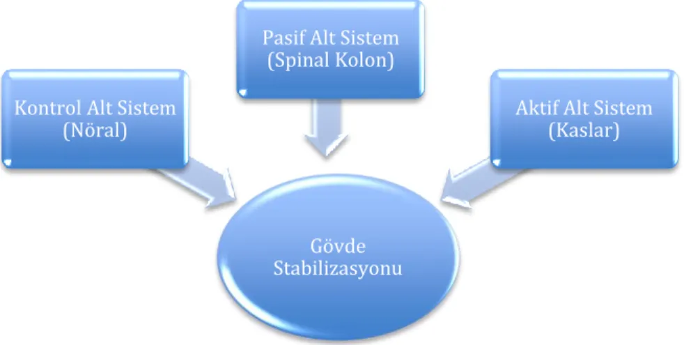 Şekil 2.2. Panjabi’ nin spinal stabilite modeli 