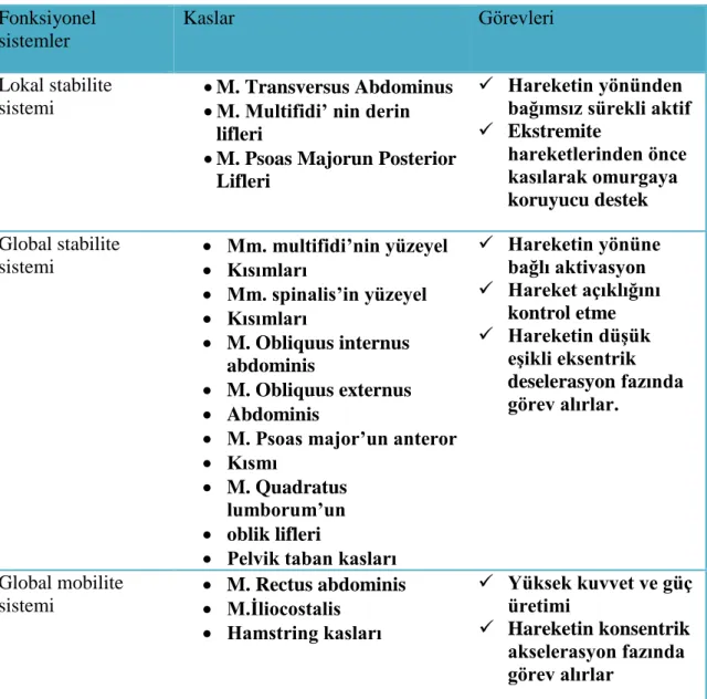 Tablo 2.1. Stabilite ve mobilite sistemleri 