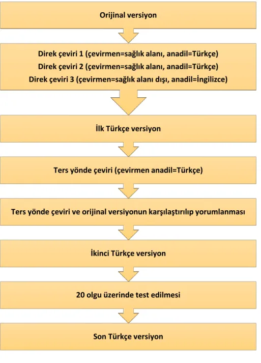 Şekil 3.1. Çeviri akış şeması (72). Son Türkçe versiyon
