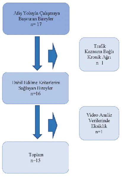 Şekil 4.1. Birey akış diyagramı.