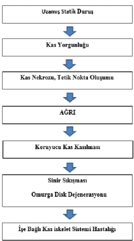 Şekil 2.1. İKSH Oluşum Mekanizması (5) 