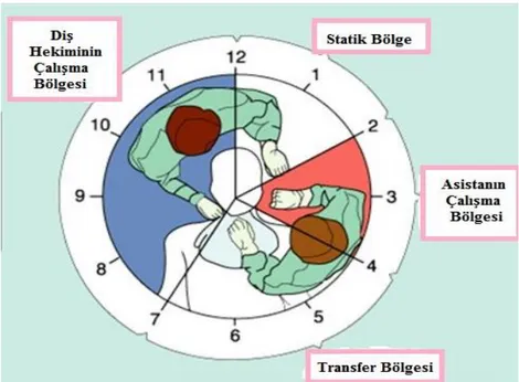 Şekil 2.2. Sağ elle çalışan diş hekimleri için dört elli yaklaşımda etkin bölgeler (71)  