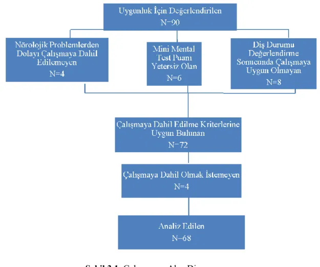 Şekil 3.1. Çalışmanın Akış Diagramı. 