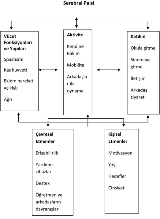 Şekil 2.1. ICF modelinin SP’ye uyarlanması  2.1.4. Serebral Palsi’de Vücut Fonksiyon ve Yapı Bozuklukları 