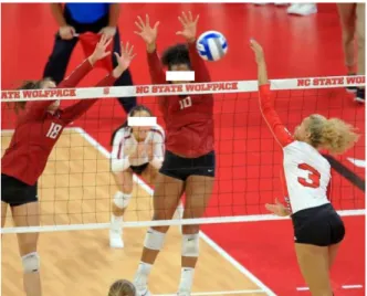 Şekil 2.1. Voleybolda blok sıçraması 