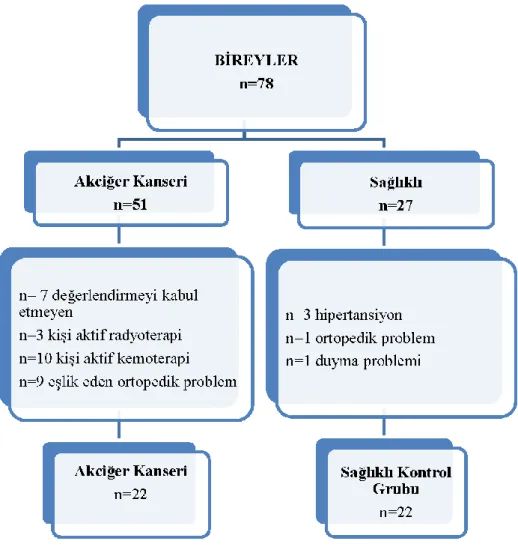Şekil 4.1. Çalışma akış şeması 