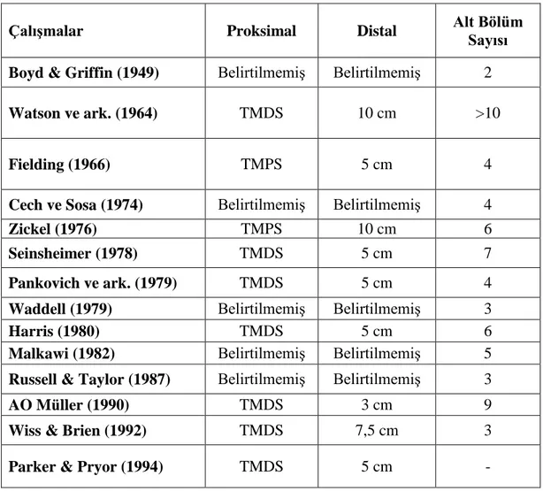 Tablo 2.1. Subtrokanterik femur kırıklarında spesifik alt sınıflandırma örnekleri 