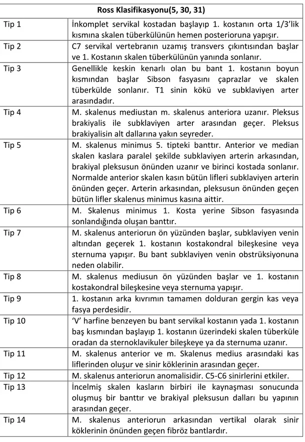 Tablo 2.1. Ross Klasifikasyonuna göre fibromusküler bantlar  Ross Klasifikasyonu(5, 30, 31) 