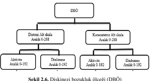 Şekil 2.6. Diskinezi bozukluk ölçeği (DBÖ) 