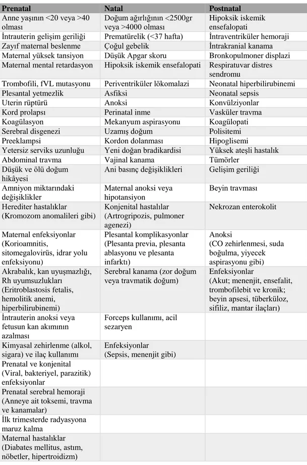 Tablo 2.1. Prenatal, perinatal ve natal etiyolojiler ve risk faktörleri 
